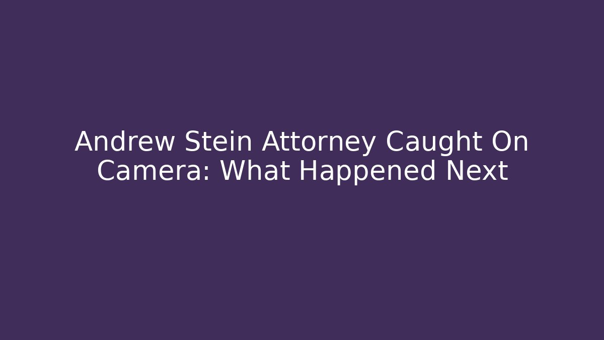 Andrew Stein Attorney Caught On Camera: What Happened Next