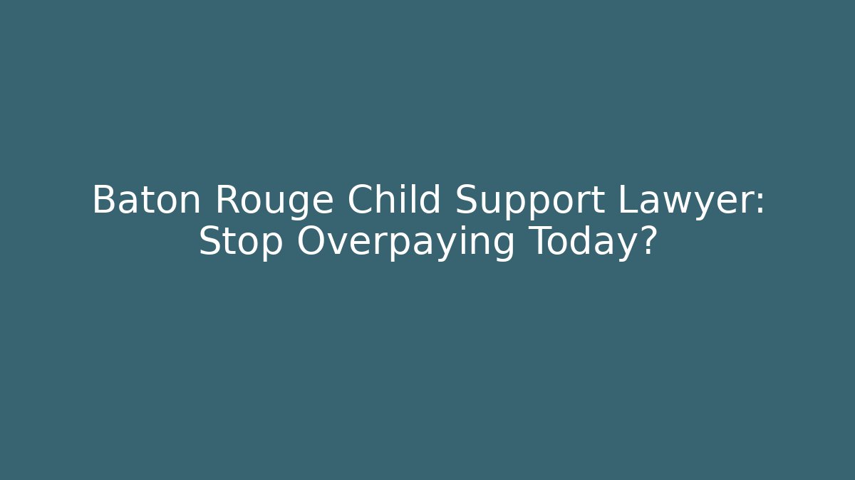 Baton Rouge Child Support Lawyer: Stop Overpaying Today?