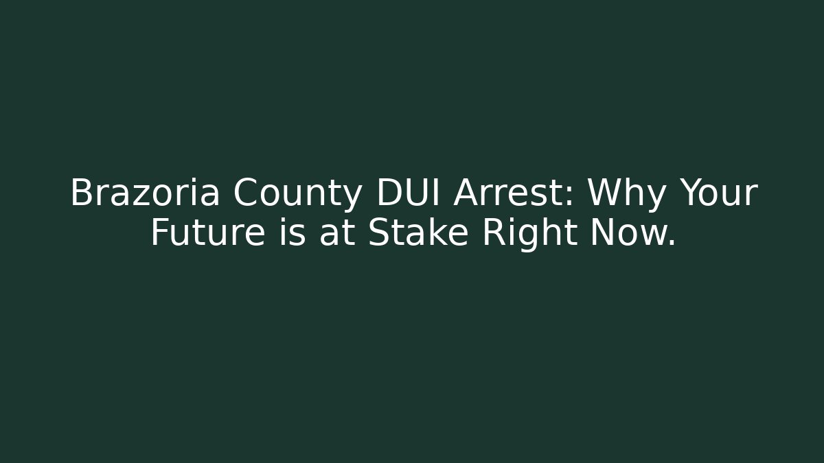 Brazoria County DUI Arrest: Why Your Future is at Stake Right Now. - V Auction