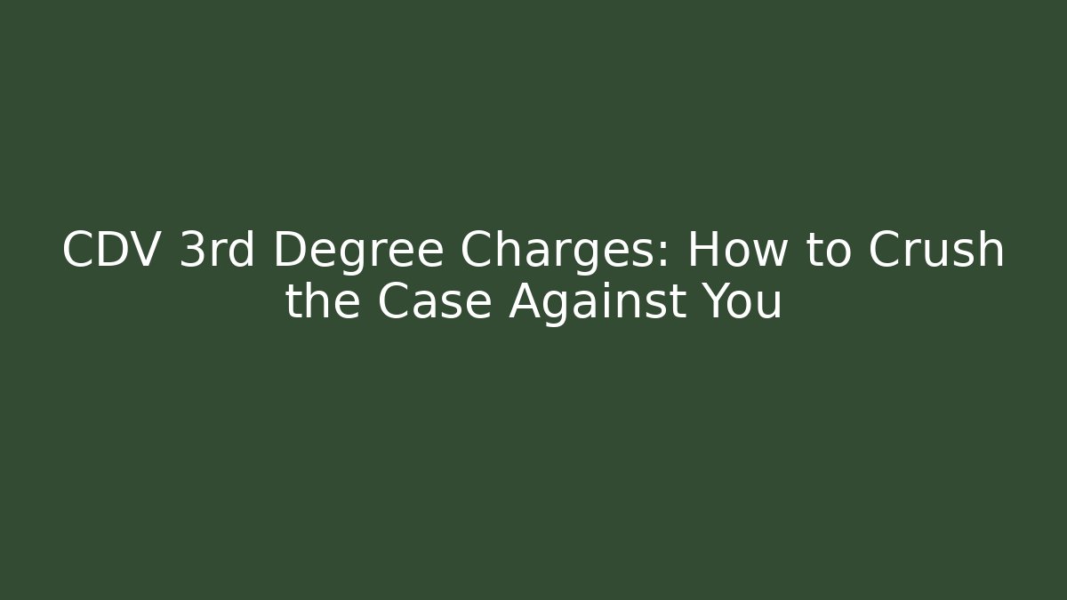 CDV 3rd Degree Charges: How to Crush the Case Against You - V Auction