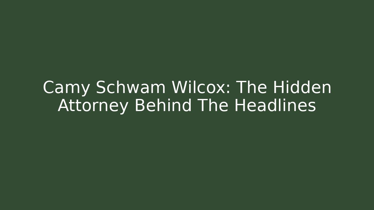 Camy Schwam Wilcox: The Hidden Attorney Behind The Headlines - V Auction