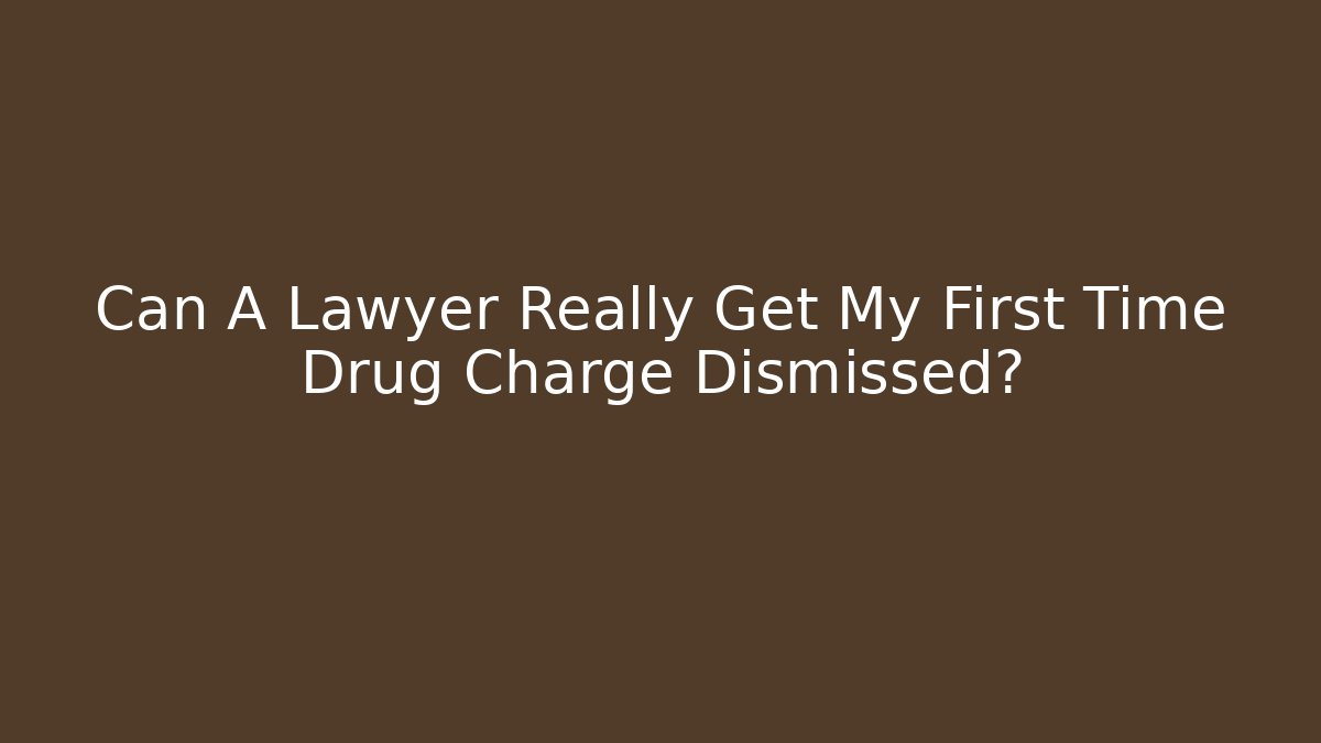 Can A Lawyer Really Get My First Time Drug Charge Dismissed? - V Auction