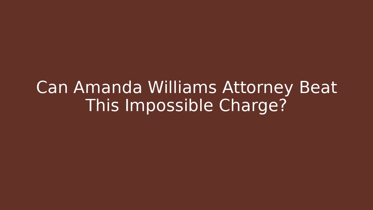 Can Amanda Williams Attorney Beat This Impossible Charge? - V Auction