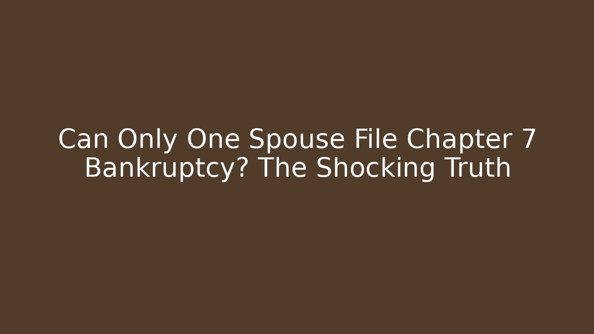 Can Only One Spouse File Chapter 7 Bankruptcy? The Shocking Truth - V Auction