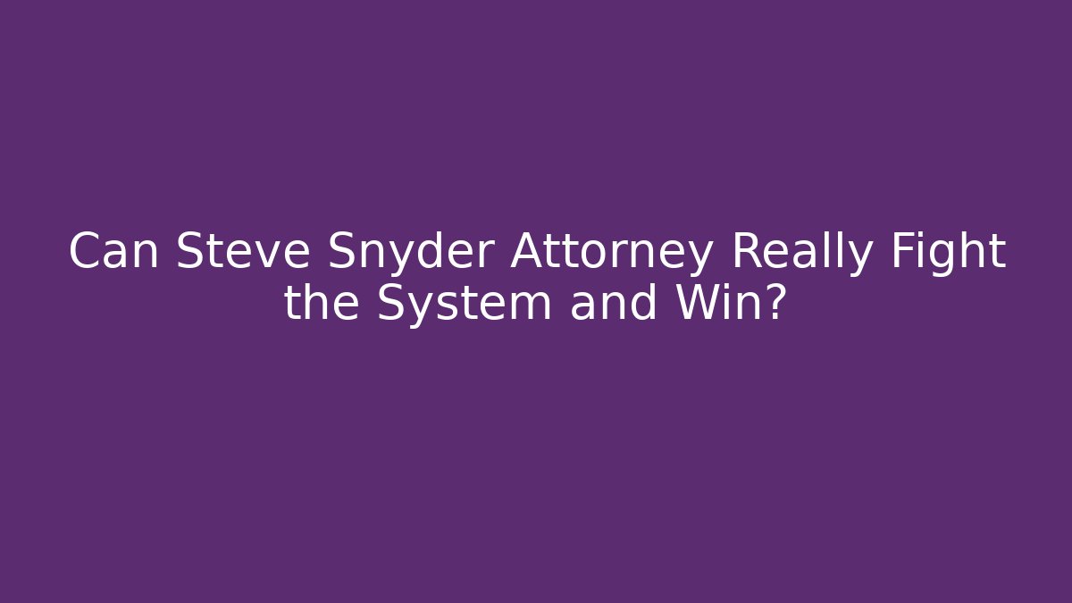 Can Steve Snyder Attorney Really Fight the System and Win?