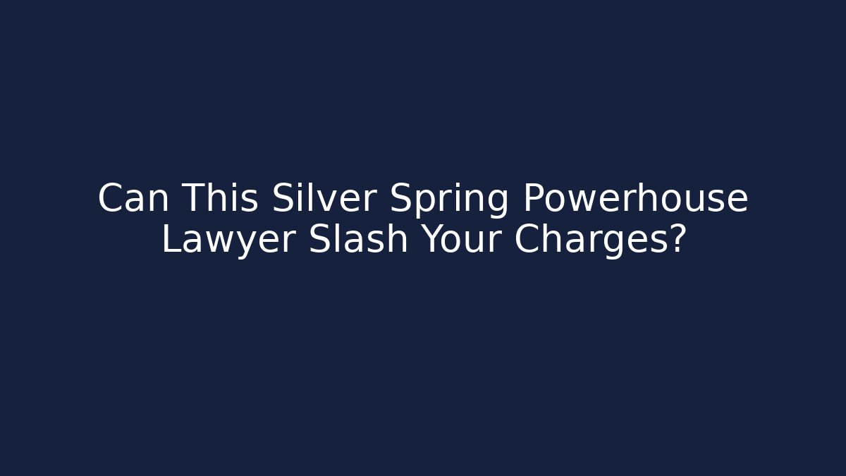Can This Silver Spring Powerhouse Lawyer Slash Your Charges?