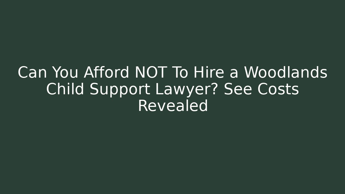 Can You Afford NOT To Hire a Woodlands Child Support Lawyer? See Costs Revealed