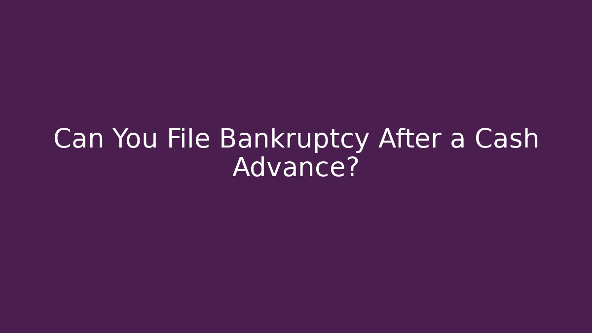 Can You File Bankruptcy After a Cash Advance? - V Auction