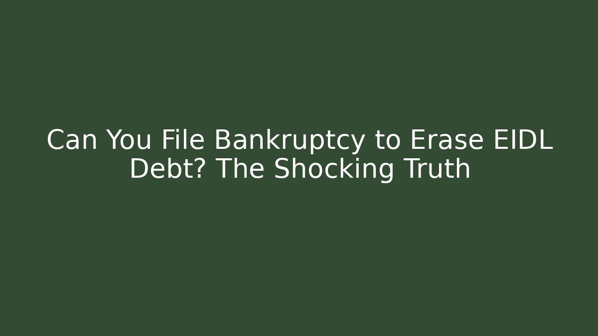 Can You File Bankruptcy to Erase EIDL Debt? The Shocking Truth