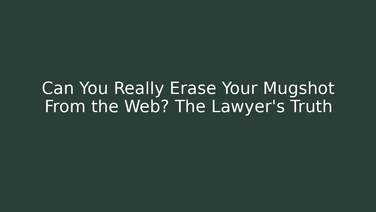 Can You Really Erase Your Mugshot From the Web? The Lawyer’s Truth - V Auction
