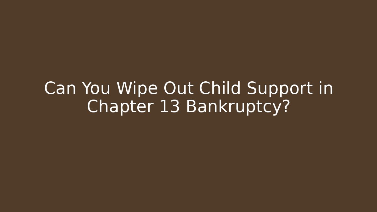 Can You Wipe Out Child Support in Chapter 13 Bankruptcy?