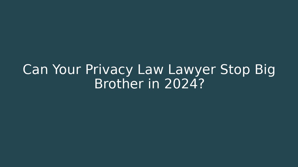 Can Your Privacy Law Lawyer Stop Big Brother in 2024?
