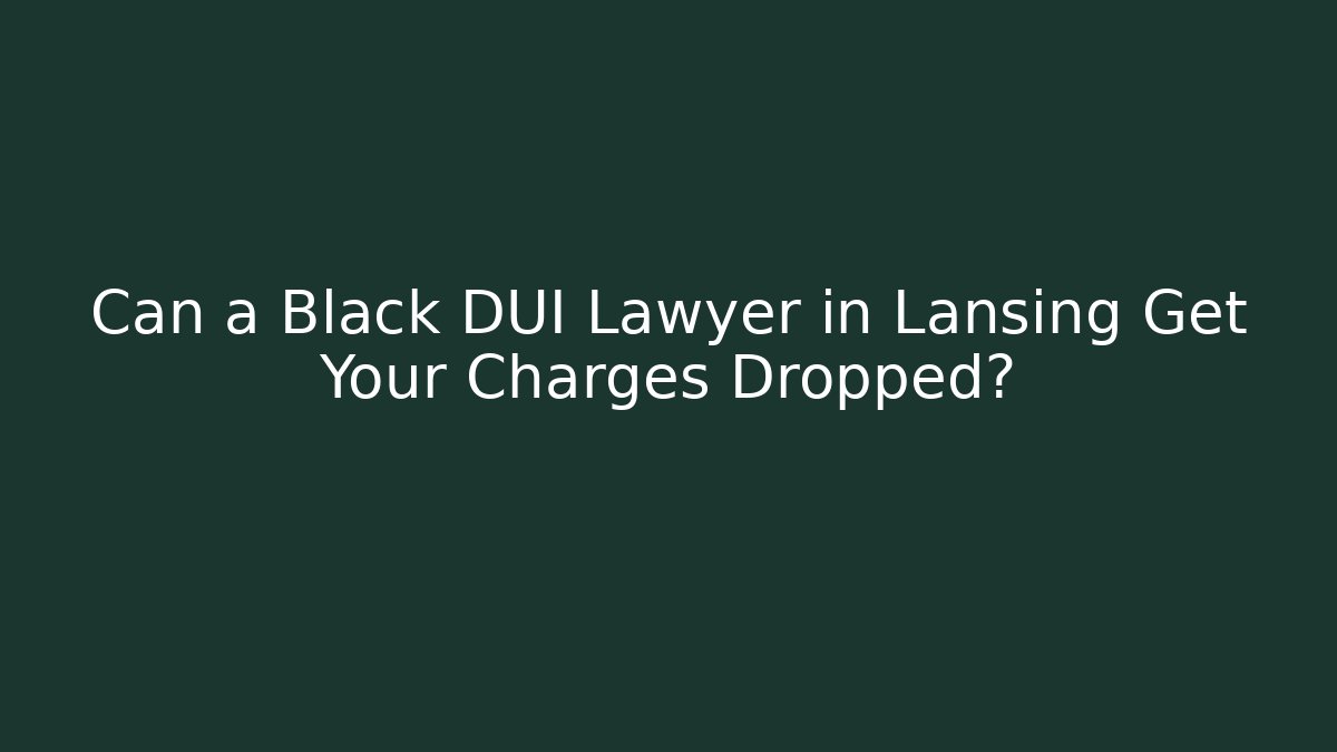 Can a Black DUI Lawyer in Lansing Get Your Charges Dropped?