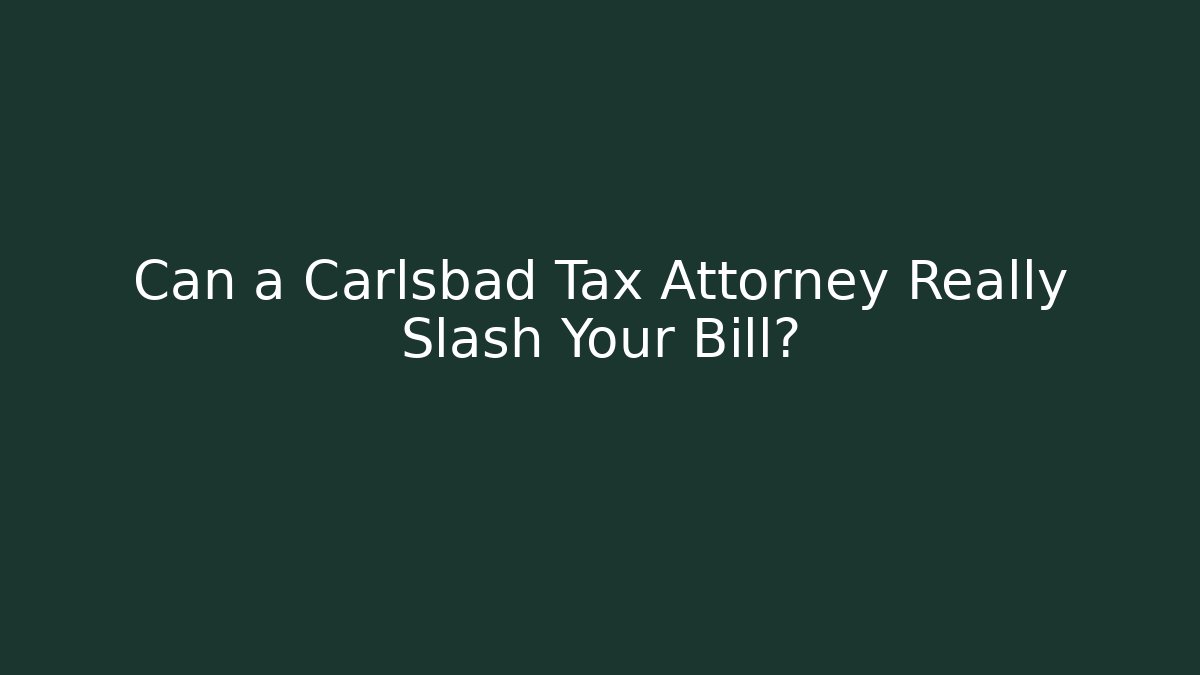 Can a Carlsbad Tax Attorney Really Slash Your Bill? - V Auction