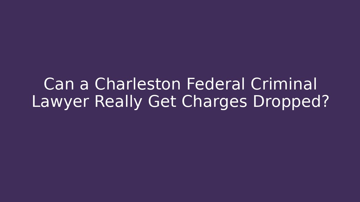 Can a Charleston Federal Criminal Lawyer Really Get Charges Dropped?