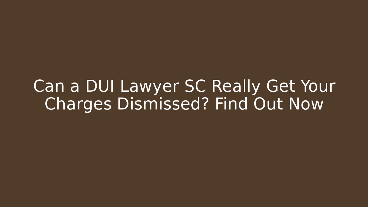 Can a DUI Lawyer SC Really Get Your Charges Dismissed? Find Out Now