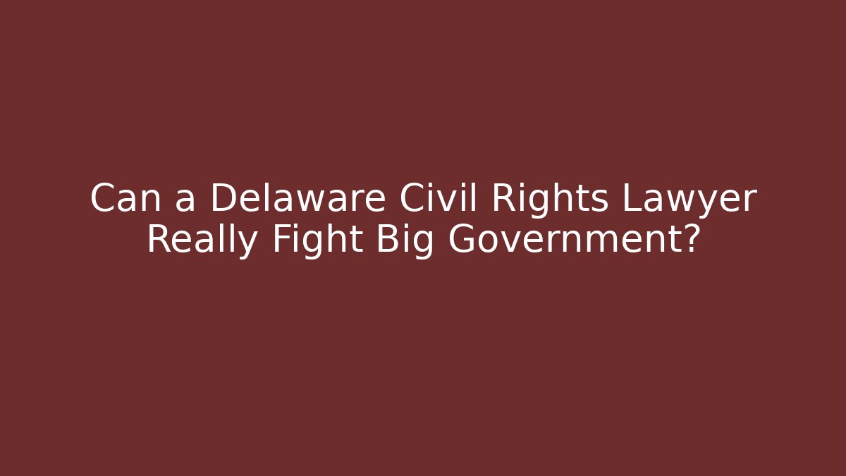 Can a Delaware Civil Rights Lawyer Really Fight Big Government?