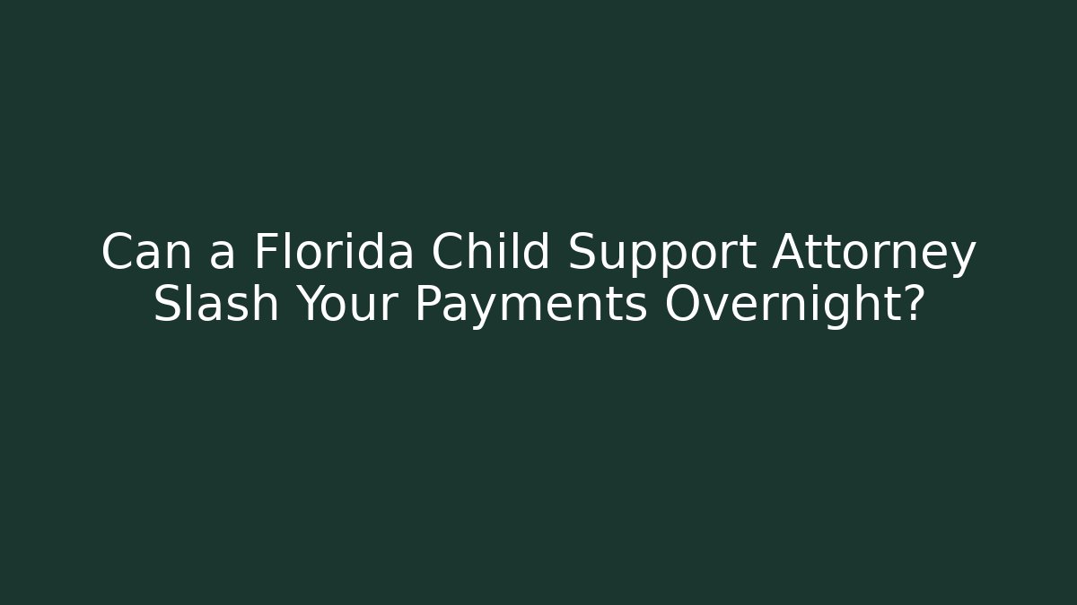 Can a Florida Child Support Attorney Slash Your Payments Overnight?