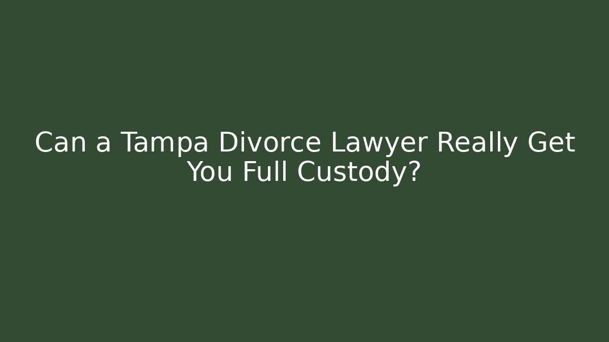 Can a Tampa Divorce Lawyer Really Get You Full Custody?
