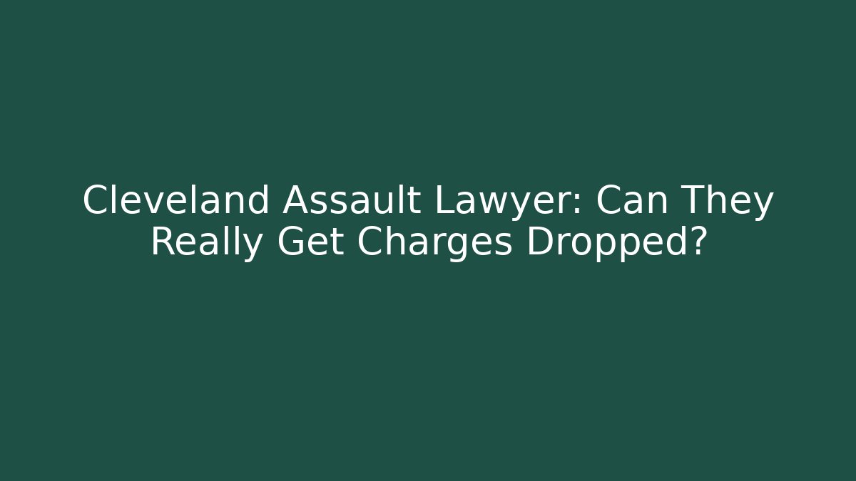 Cleveland Assault Lawyer: Can They Really Get Charges Dropped? - V Auction