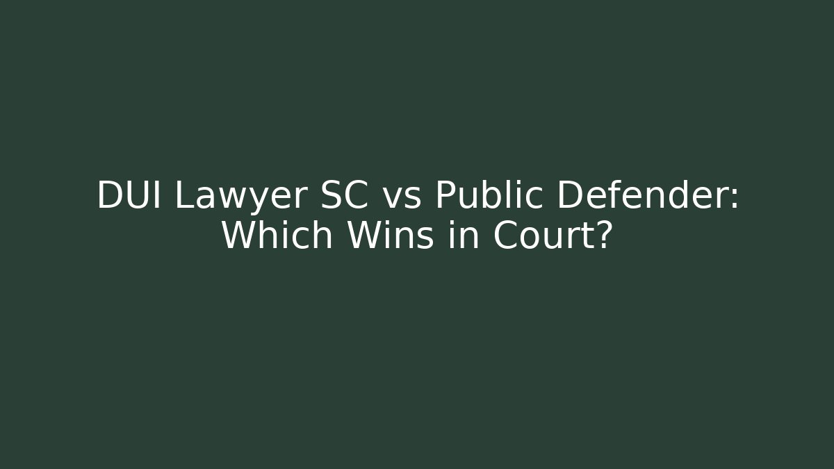 DUI Lawyer SC vs Public Defender: Which Wins in Court?