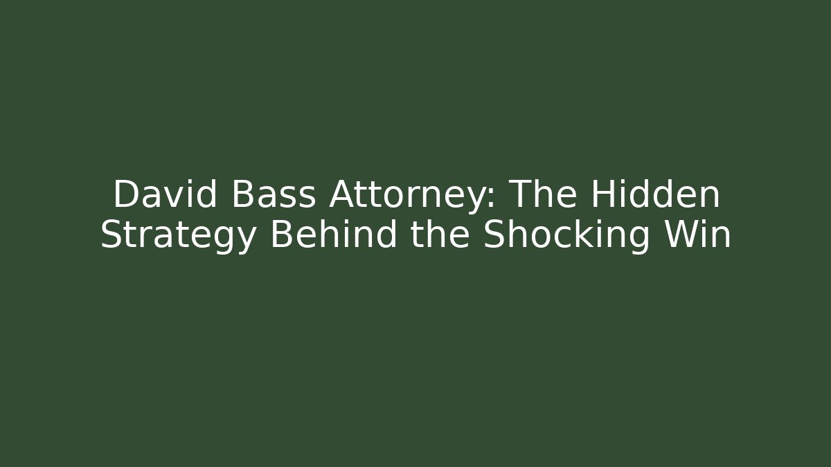 David Bass Attorney: The Hidden Strategy Behind the Shocking Win - V Auction