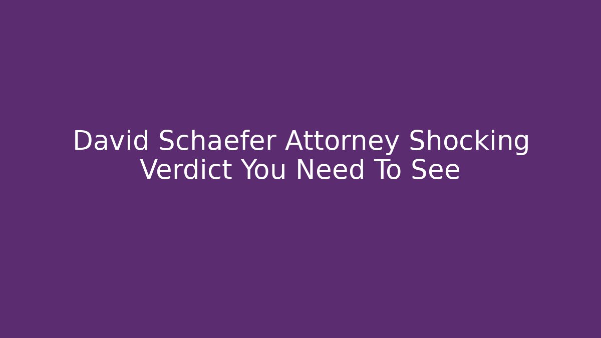 David Schaefer Attorney Shocking Verdict You Need To See - V Auction