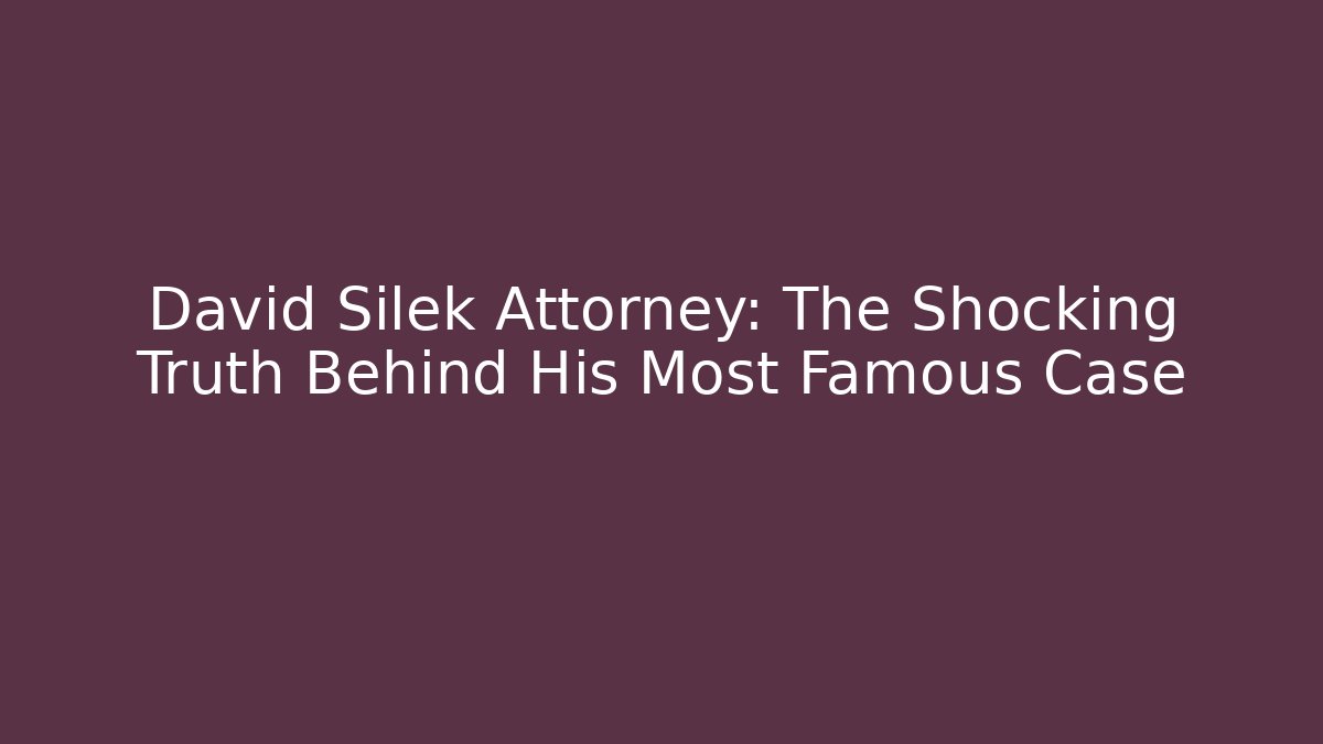David Silek Attorney: The Shocking Truth Behind His Most Famous Case
