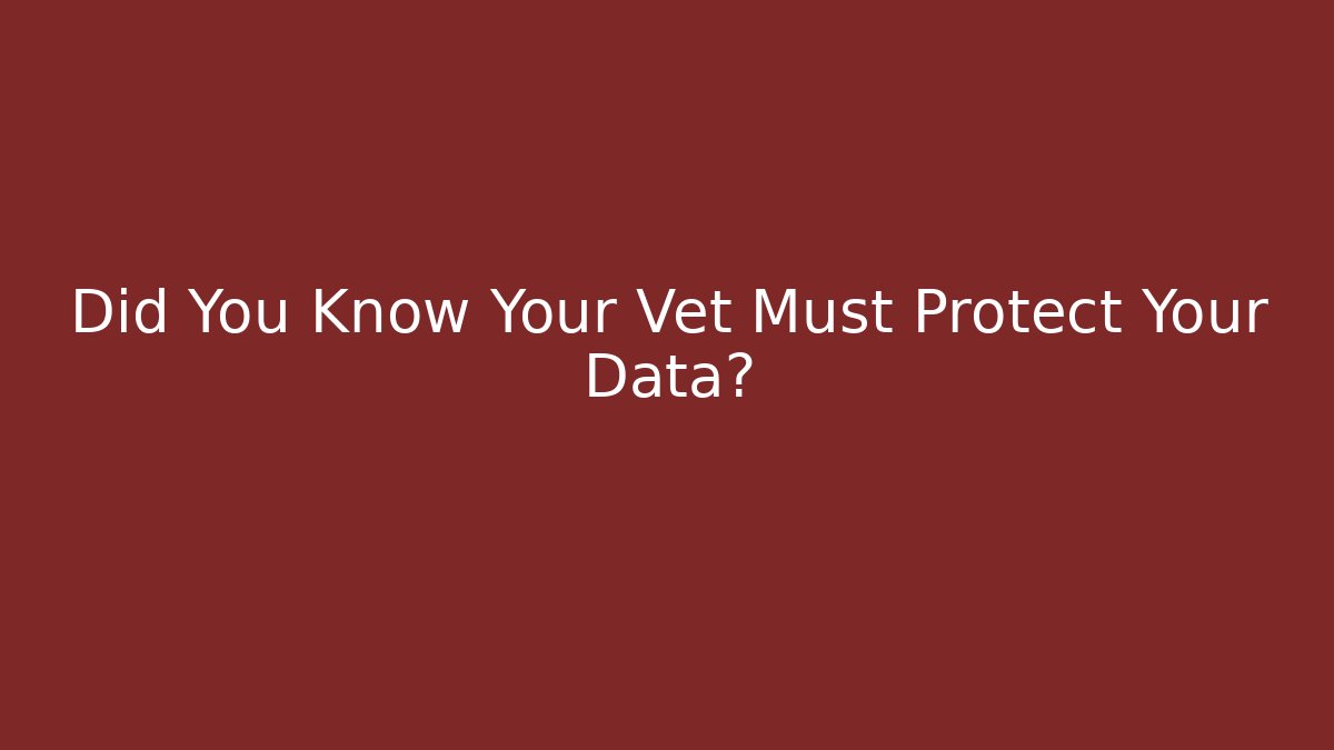 Did You Know Your Vet Must Protect Your Data? - V Auction