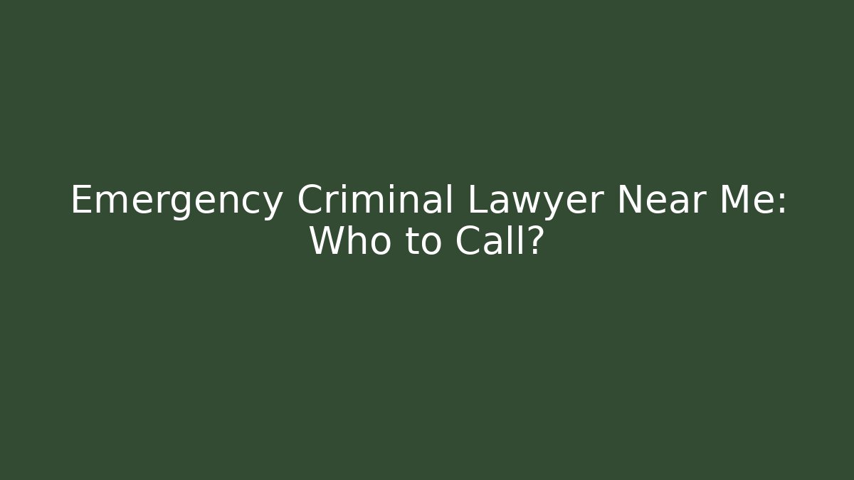 Emergency Criminal Lawyer Near Me: Who to Call?
