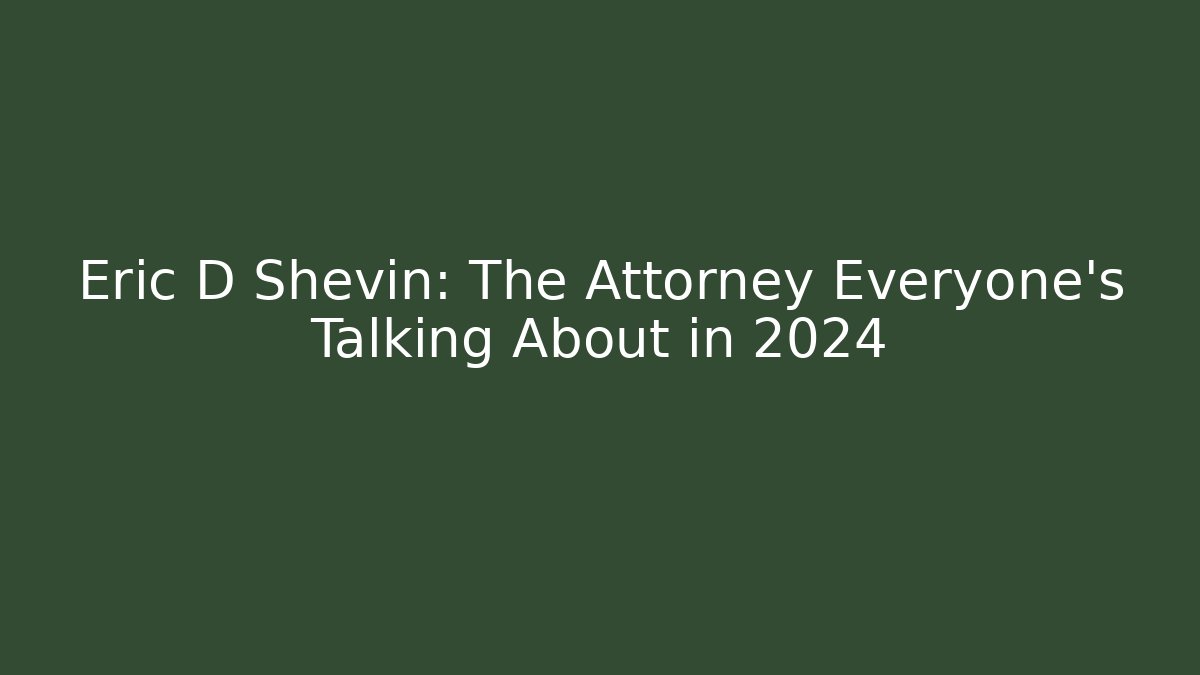 Eric D Shevin: The Attorney Everyone’s Talking About in 2024 - V Auction