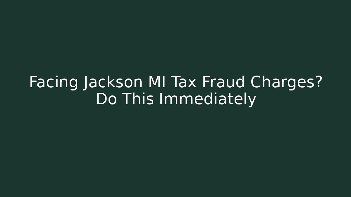 Facing Jackson MI Tax Fraud Charges? Do This Immediately - V Auction