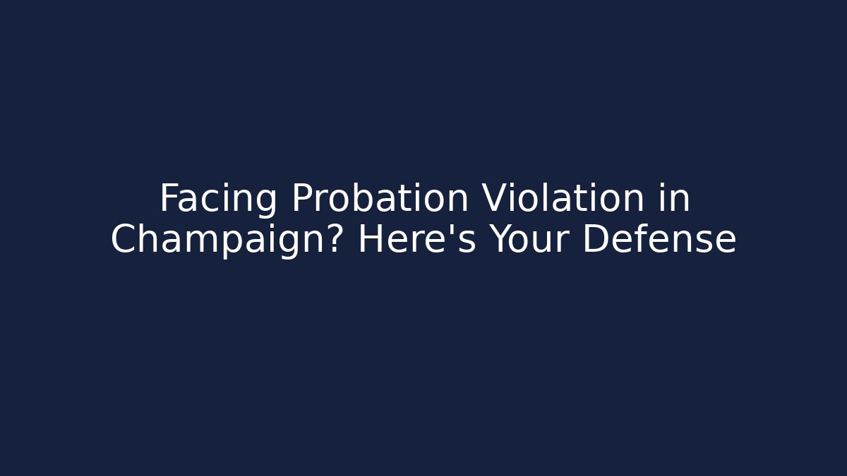 Facing Probation Violation in Champaign? Here's Your Defense - V Auction