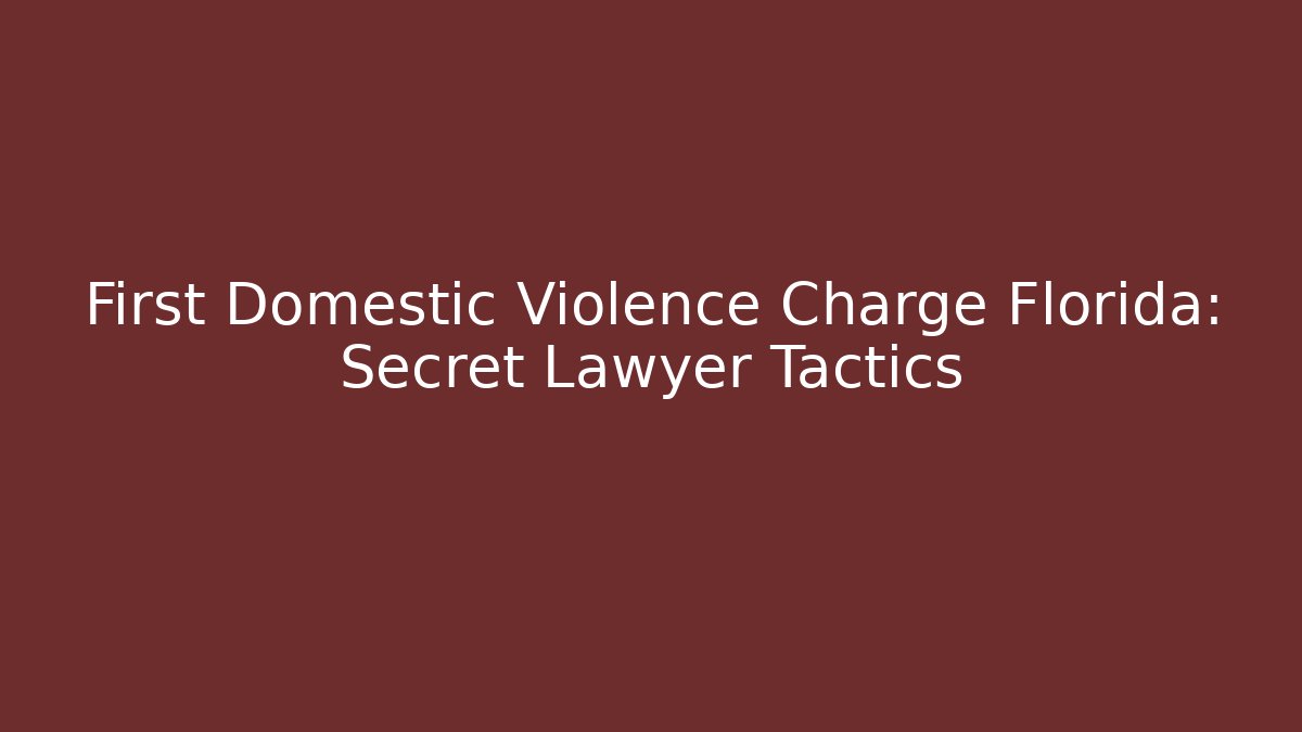 First Domestic Violence Charge Florida: Secret Lawyer Tactics