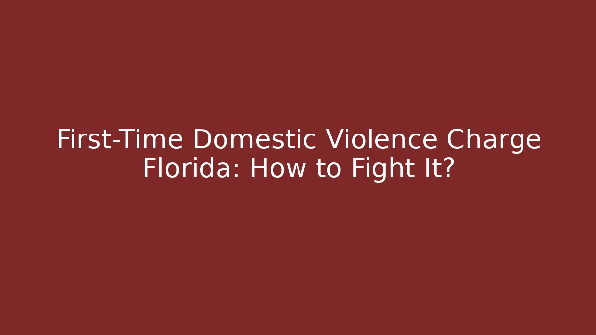 First-Time Domestic Violence Charge Florida: How to Fight It? - V Auction