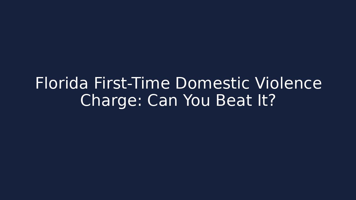 Florida First-Time Domestic Violence Charge: Can You Beat It? - V Auction