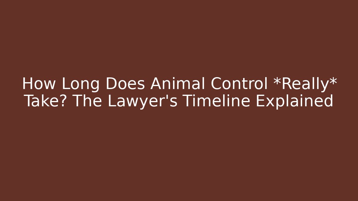 How Long Does Animal Control *Really* Take? The Lawyer's Timeline Explained - V Auction