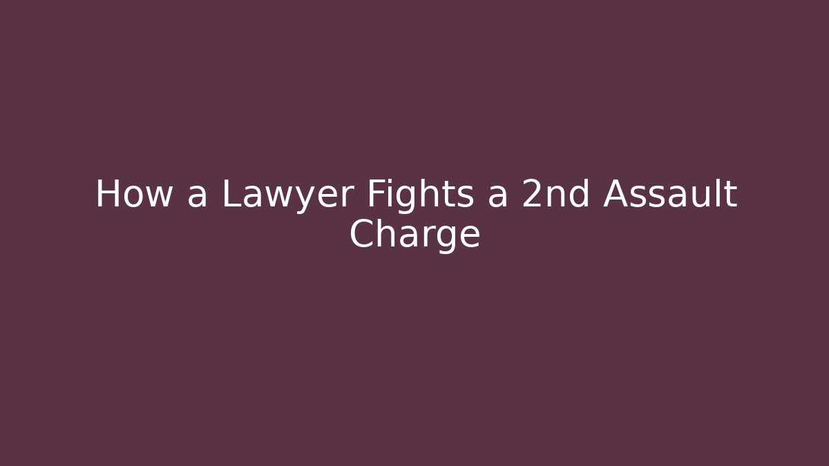 How a Lawyer Fights a 2nd Assault Charge