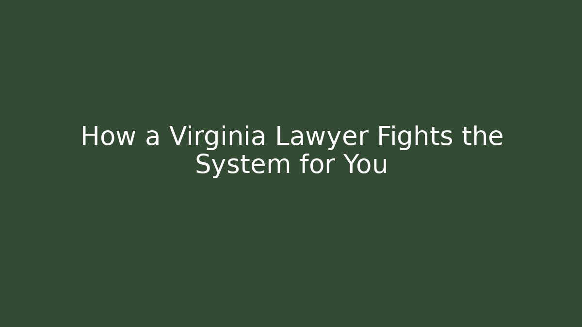How a Virginia Lawyer Fights the System for You - V Auction