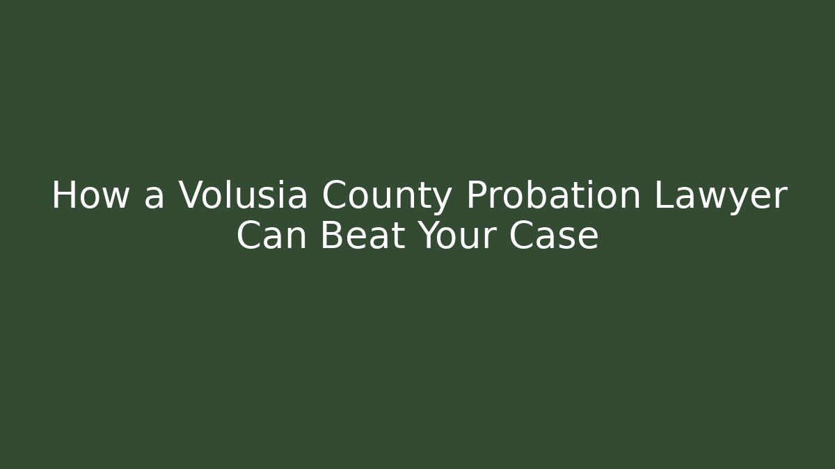 How a Volusia County Probation Lawyer Can Beat Your Case - V Auction