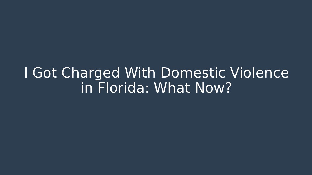 I Got Charged With Domestic Violence in Florida: What Now?