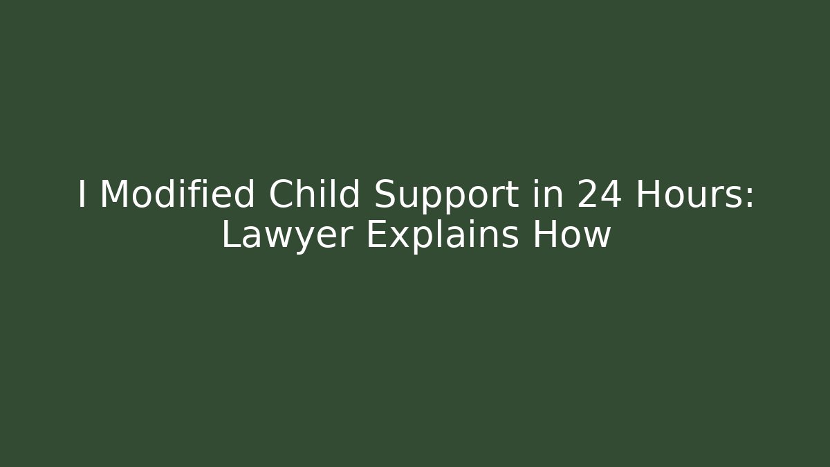 I Modified Child Support in 24 Hours: Lawyer Explains How