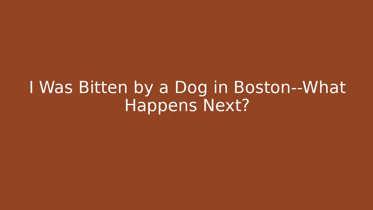 I Was Bitten by a Dog in Boston—What Happens Next?