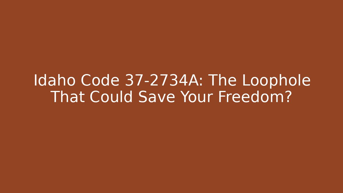 Idaho Code 37-2734A: The Loophole That Could Save Your Freedom? - V Auction