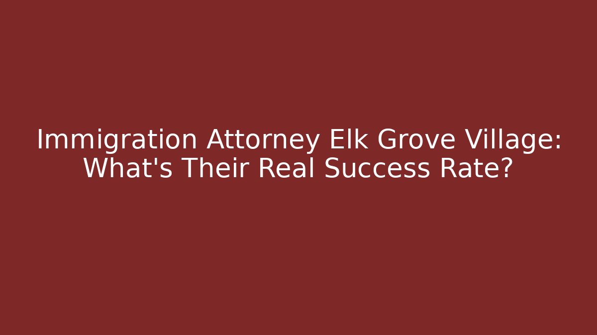 Immigration Attorney Elk Grove Village: What’s Their Real Success Rate?