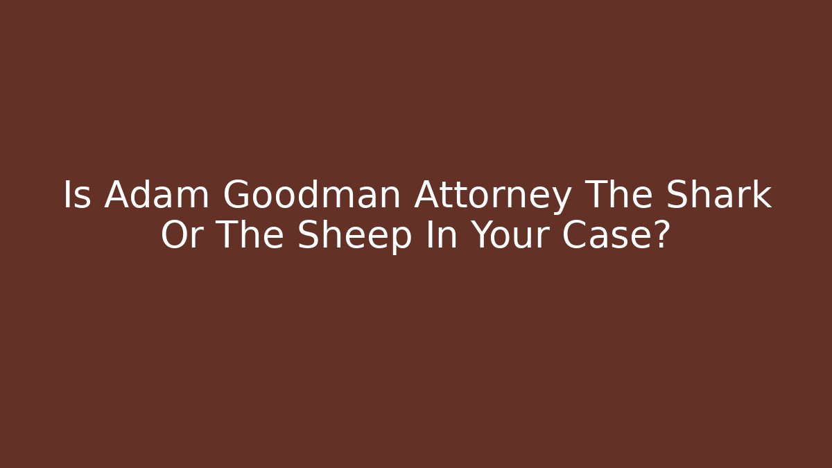 Is Adam Goodman Attorney The Shark Or The Sheep In Your Case? - V Auction