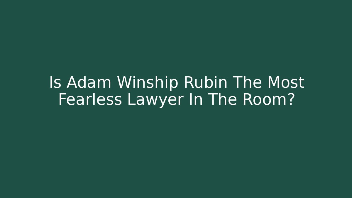 Is Adam Winship Rubin The Most Fearless Lawyer In The Room?