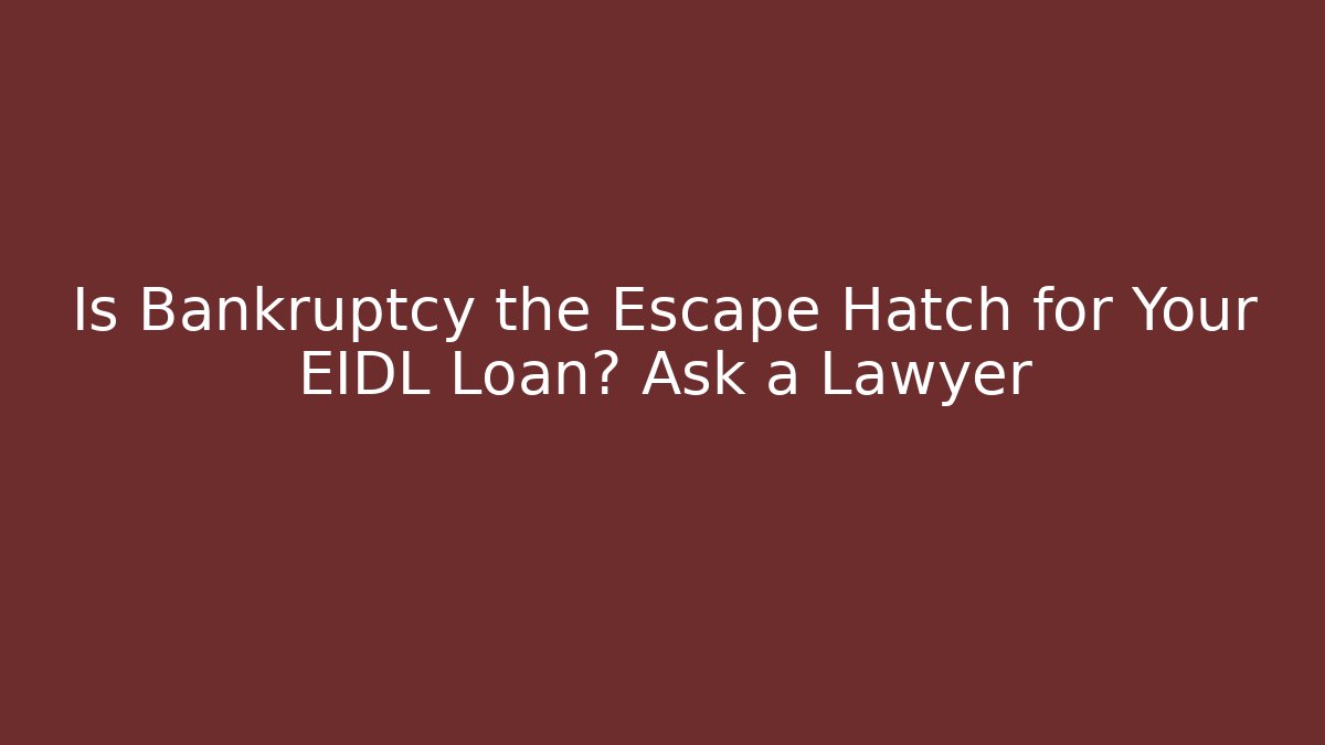 Is Bankruptcy the Escape Hatch for Your EIDL Loan? Ask a Lawyer