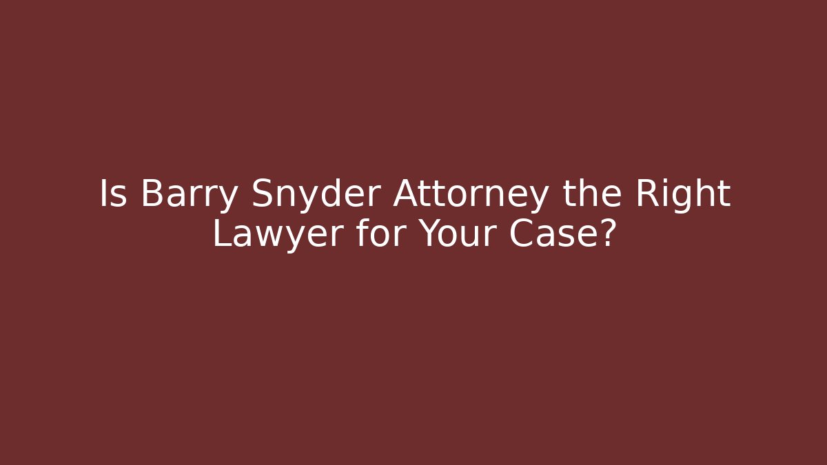Is Barry Snyder Attorney the Right Lawyer for Your Case? - V Auction
