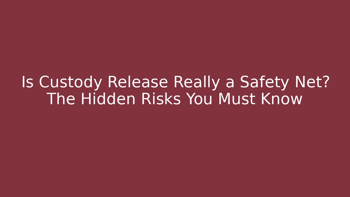 Is Custody Release Really a Safety Net? The Hidden Risks You Must Know - V Auction